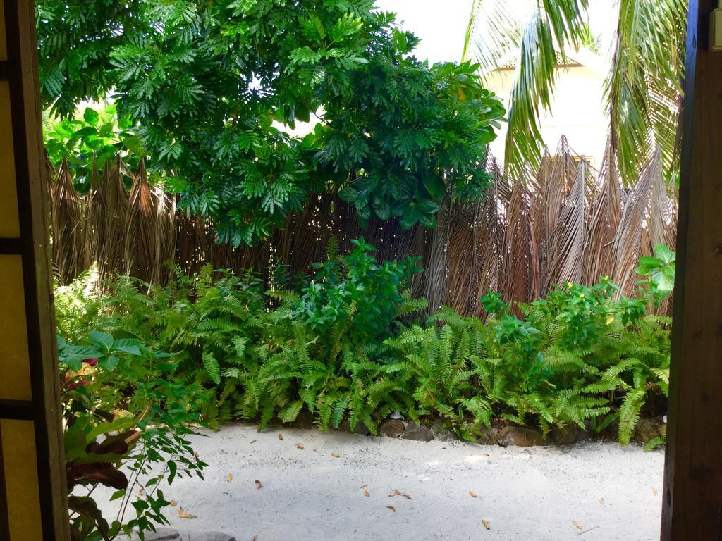 Fare Maeva Moorea Hotel Teavaro ภายนอก รูปภาพ