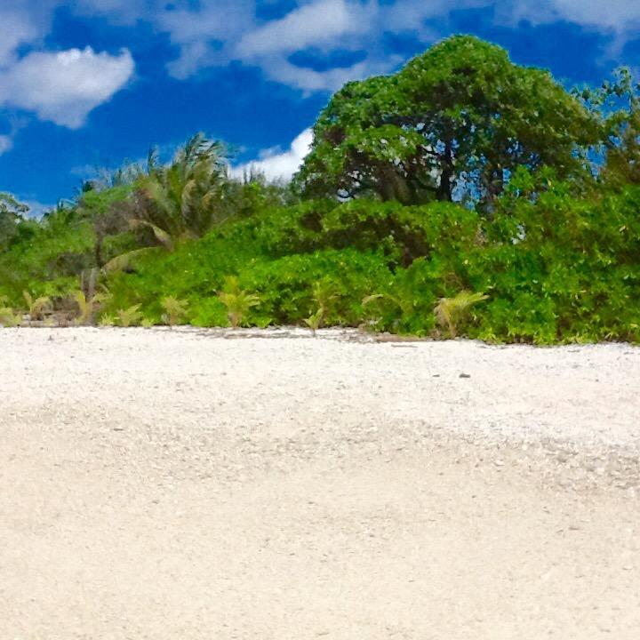 Fare Maeva Moorea Hotel Teavaro ห้อง รูปภาพ